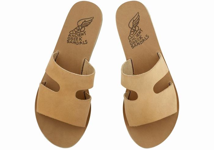 Sandales à Glissière Ancient Greek Sandals Apteros   | VSR-5963170